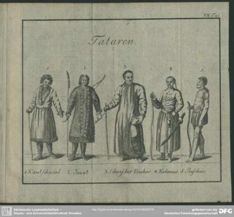 XII. Taf. Tataren