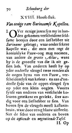 XVIII. Hooft-stuk. Van eenige rare Surinaamse Kapellen