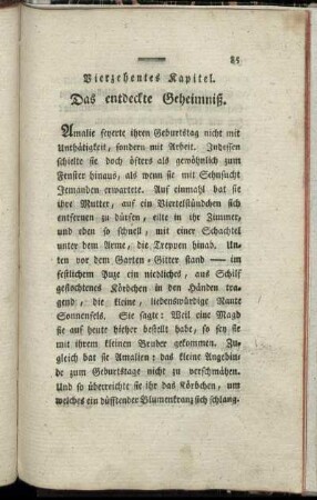 Vierzehntes Kapitel. Das entdeckte Geheimniß.
