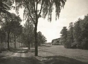 Schwosdorf. Im Tal des Schwosdorfer Wassers