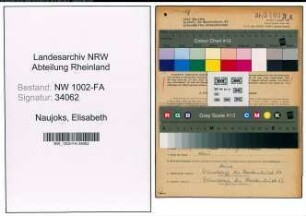 Entnazifizierung Elisabeth Naujoks, geb. 22.07.1900 (Kauffrau)