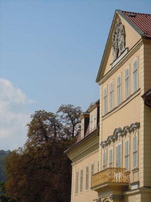 Arnstadt - Schlossfassade