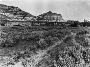 In den Badlands : Blick über eine bewachsene Ebene auf erodierte Felsen der Badlands in North Dakota.