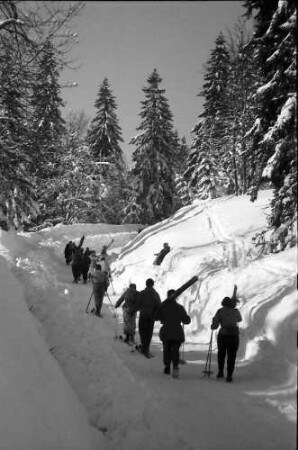 Feldberg: Skiläufer auf verschneitem Weg zum Feldberg