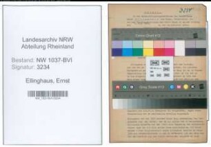 Entnazifizierung Ernst Ellinghaus , geb. 30.05.1901 (Dekorateur)