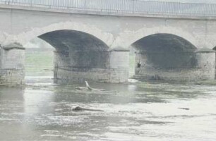 Unstrutflut-Brücke, Sachsenburg