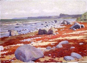 Strand mit Steinen