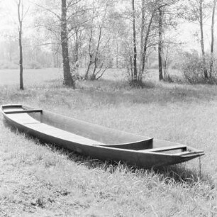 Kahn auf der Wiese in Leipe. : Čołm na łuce w Lipjem.