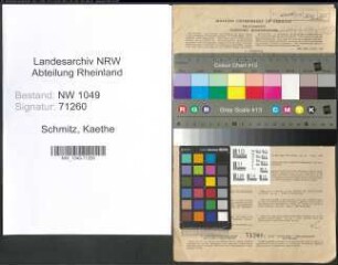 Entnazifizierung Kaethe Schmitz , geb. 06.12.1907 (Lehrerin)
