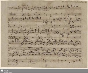 194: Etudes - Mus.Schu.194 : vlc, b - op. [11, 13] - D
