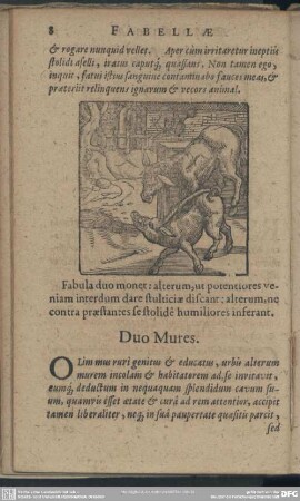 Duo Mures