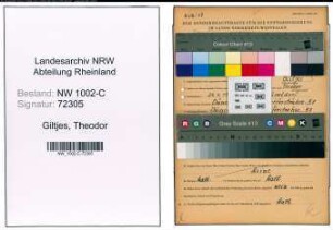 Entnazifizierung Theodor Giltjes, geb. 24.04.1911 (Haendler)