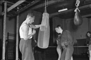 Boxer beim Training am Sandsack