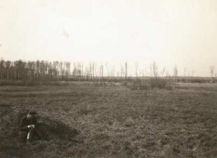 Ostsächsisches Tiefland. Neudorfer Moor (Flachmoor) bei Wittichenau. Nach dem Morrinneren zu Birkenbestand