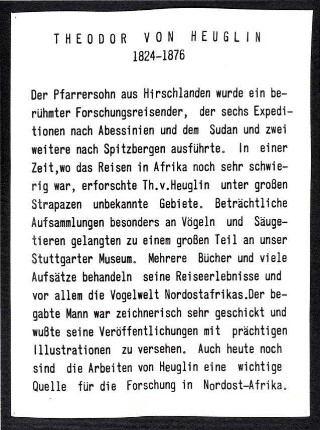 Text für eine Ausstellung über Theodor von Heuglin