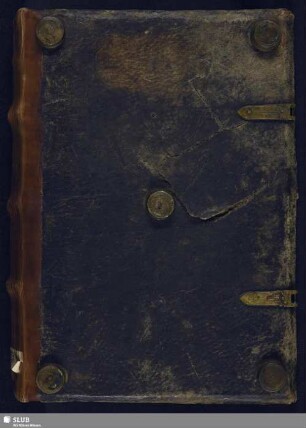 Commentarius in Apocalypsin capp. 22 - Mscr.Dresd.A.117