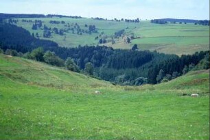 Landschaft bei Böhlen