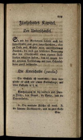Fünfzehntes Kapitel. Der Unterschenkel.