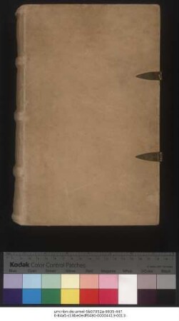 Hugo de Folieto. Hugo de Sancto Victore