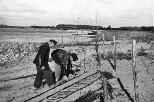 Uferschutz an der Weser
