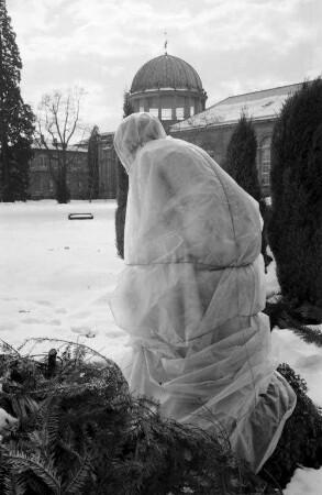 Schutz der Plastiken im Botanischen Garten gegen Kälte im Winter.