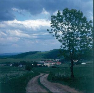 Ortsteilansicht von Süden, im Vordergrund unbefestigter Fahrweg nach Wingendorf : Bahretal-Göppersdorf. Ortsteilansicht von Süden, im Vordergrund unbefestigter Fahrweg nach Wingendorf
