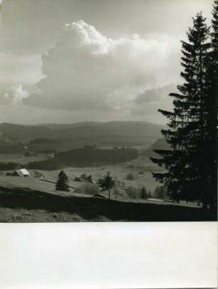 Fahrenhalde / Weißtannenhöhe (bei Breitnau)