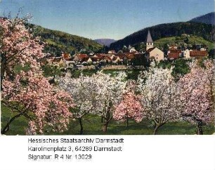 Seeheim an der Bergstraße, Panorama / im Vordergrund: blühende Obstbäume