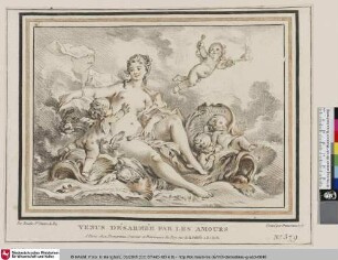 Venus désarmée par les Amours
