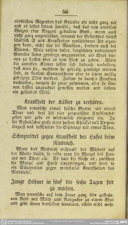 Krankheit der Kälber zu verhüten