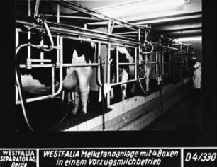 WESTFALIA Melkstandanlage mit 4 Boxen in einem Vorzugsmilchbetrieb