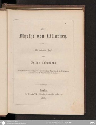 Die Myrthe von Killarney : Ein modernes Idyll