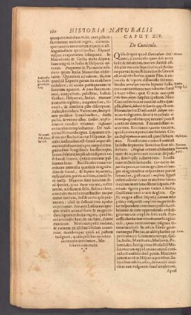 Caput XIV. De Cuniculo.
