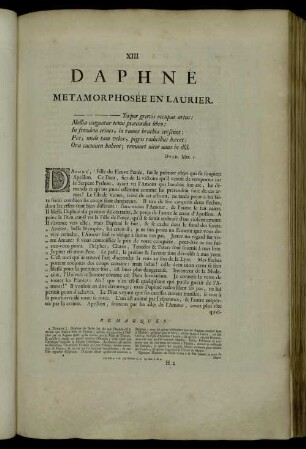 XIII. Daphné Metamorphosée En Laurier