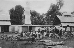 Trockenhaus-Anlage für Cacao. Dr. Esser´sche Plantage.