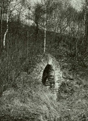 Conradsdorf, Löfflerstollen, Mundloch (um 1850) am rechten Muldenhang