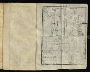 Tab: I [- Tab. VIII]
