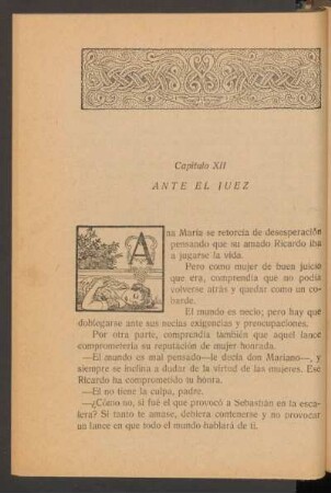 Capítulo XII - Ante el juez