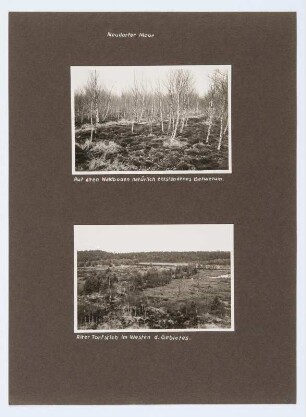 Referenzmappe 3/17 des Fotografen Walter Möbius : Mappenblatt 84 mit zwei Fotografien (Neudorfer Moor (Flachmoor) bei Wittichenau)