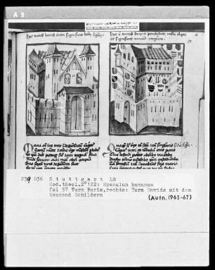 Zwei Schriften — Speculum humanae salvationis — Textseite mit zwei Miniaturen, Folio 57recto