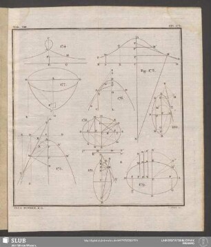 Tab. XIII. [Fig. 173-181]