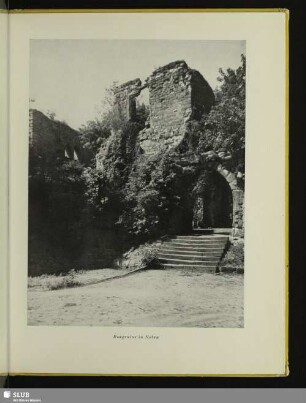 Burgruine in Nebra