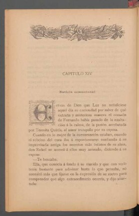 Capítulo XIV - Noticia sensacional