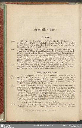 Specieller Theil