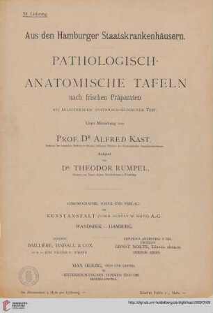 Heft 11: Pathologisch-anatomische Tafeln