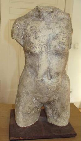 Weiblicher Torso