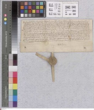 Nieder-Klingen: Henricus Abbas ecclesie Fuldensis - Jutte redicte Ulrici dicti Pa .... militio supplicationibus inclinans dotem seu donationem pro...