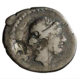 Münze, Denar, 46 v. Chr.