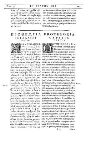 Protheoria Capitis Tertii.