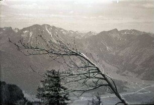 Bayrischzell: Knospen vor den Bergen